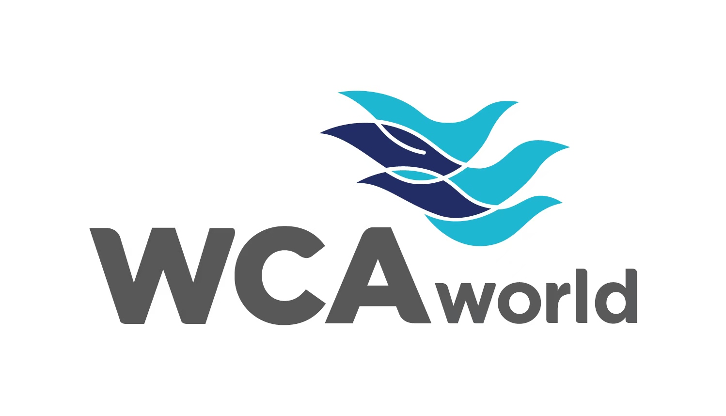 WCA China Global